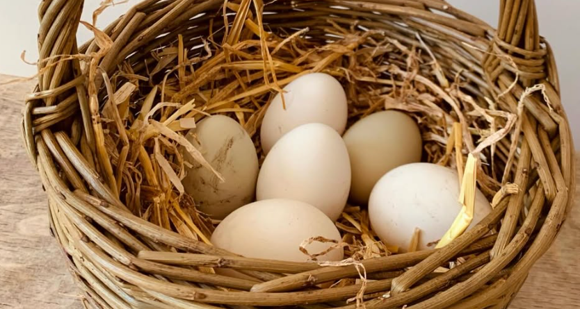 Free-range eggs in a straw-lined basket