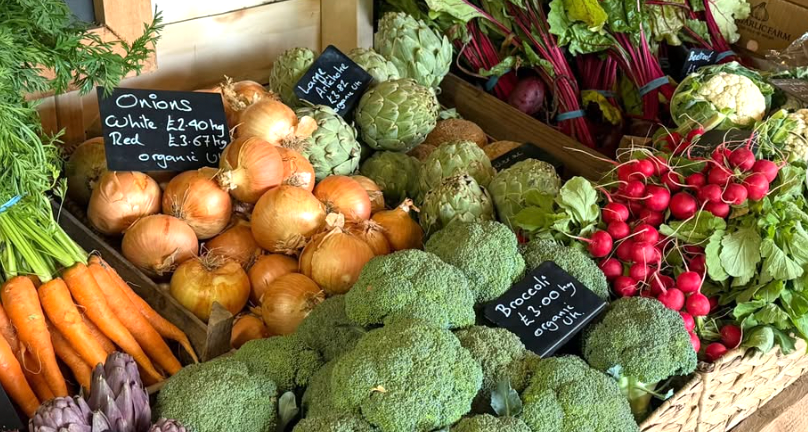 Fresh organic vegetables from the market garden